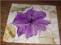 ae0c5880-Picture 001.jpg
